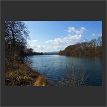 2012-03-08 14.25.51
